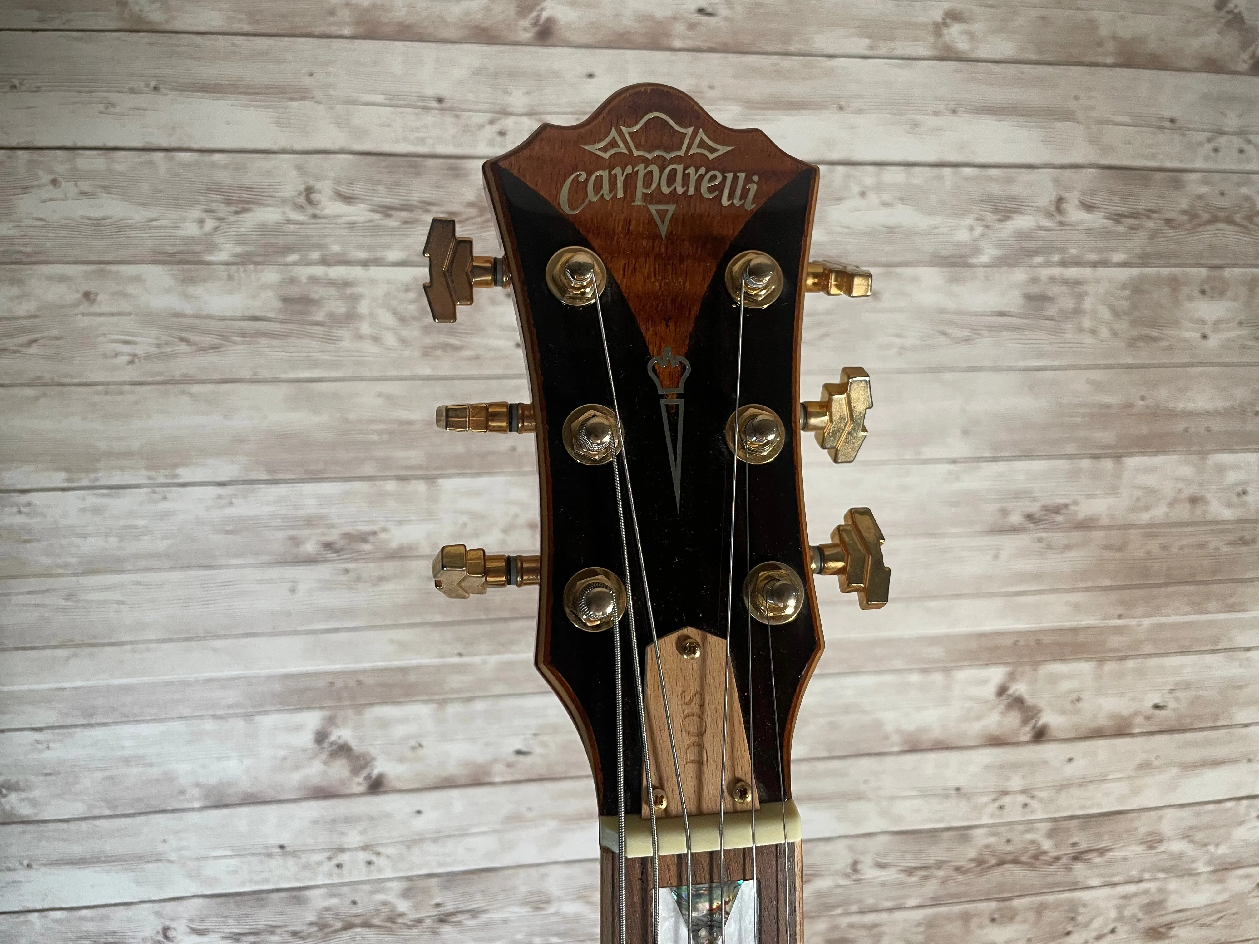 Carparelli MZ-607-VBS Hollowbody Used