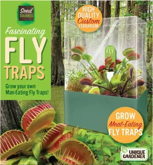 Fascinating Fly Traps